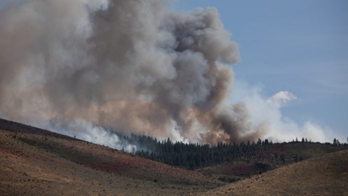 incendio-forestal-en-reno-074018