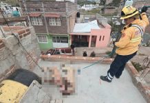 Denuncian posible maltrato animal en Guanajuato por dos perros colgados