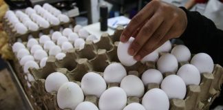El precio del kilo de huevo sube en México y estas son las posibles razones; aumentó 7.92% en agosto
