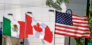 Exportaciones de México, EEUU y Canadá superan promedio del G20; comercio exterior de México fue positivo en segundo trimestre: OCDE