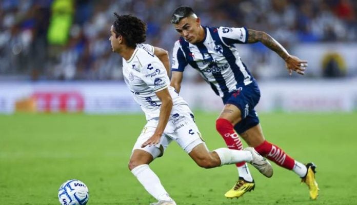 LDN rayados