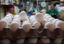 Aumento de Precio del Huevo en Tamaulipas: Es el Mayor Incremento en 20 Años