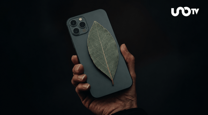 Una hoja de laurel sobre el celular: ¿para qué sirve y por qué se volvió tendencia?