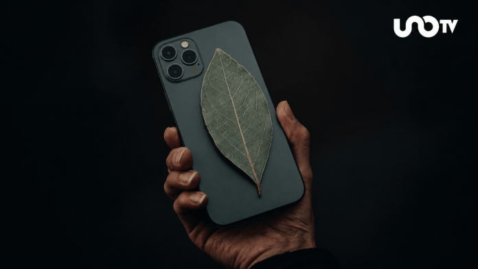 celular-y-hoja-de-laurel-101506