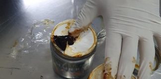 Decomisan un cargamento de ayahuasca en aeropuerto de CDMX