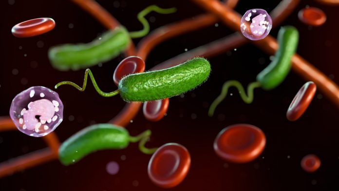 bacteria-come-carne-amenaza-las-costas-de-eeuu-111856