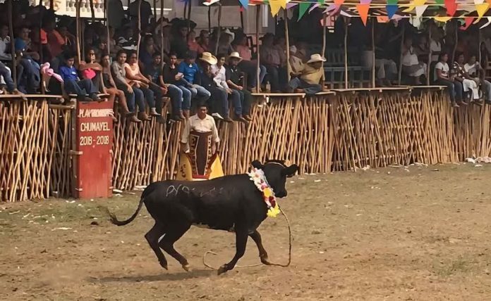 Y ANIMALISTAS