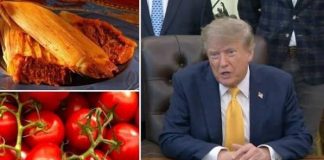 ‘México no tiene nada que ofrecer, solo tamales y tomates’, dice Trump