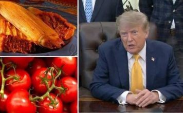 ‘México no tiene nada que ofrecer, solo tamales y tomates’, dice Trump