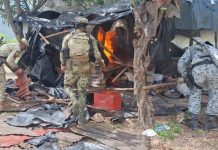 Inhabilitan 11 plantíos de mariguana en La Yesca, Nayarit
