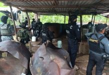 Incautan 7.8 toneladas de droga en Guerrero: García Harfuch