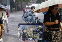 Alertan por INTENSAS LLUVIAS en estos 14 estados del lunes 7 al miércoles 9 de septiembre por la onda tropical 37 | LISTA