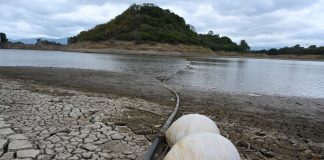Sequía por El Niño dejará sin suficientes alimentos a 16 millones de personas en América Latina