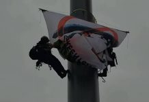Activistas de Greenpeace escalan asta del Zócalo; protestan contra planta de amoniaco en Sinaloa