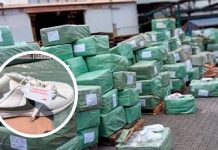 ¿Eran marca Mike y Pumba? Aseguran en Manzanillo casi 12 mil pares de ‘tenis piratas’ procedentes de China