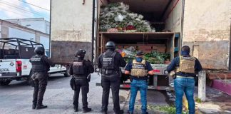Advierte IP de crecimiento de extorsiones