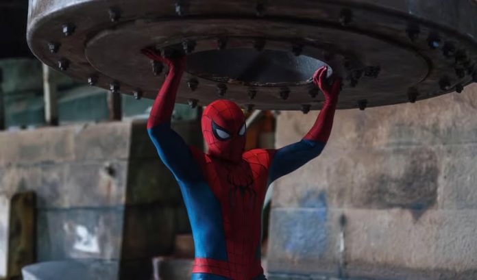 Y SPIDER MAN