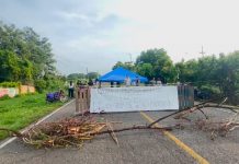 Bloquean planta de moscas estériles en Metapa, Chiapas; exigen su reubicación por fuertes olores