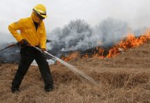 Arden sierras de Tamaulipas; incendios forestales afectan hasta mil 200 hectáreas