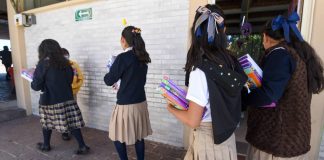 37% de alumnos mexicanos reporta distracciones por dispositivos digitales en clase, de acuerdo con la OCDE