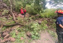 Rescatan a 16 personas tras quedar atrapadas en una barranca de Tonalá, Jalisco; videos
