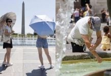Estados Unidos registra su verano más caluroso en más de 130 años; altas temperaturas también superaron récords en España