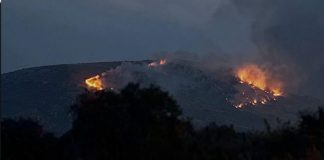 Devora incendio 160 hectáreas