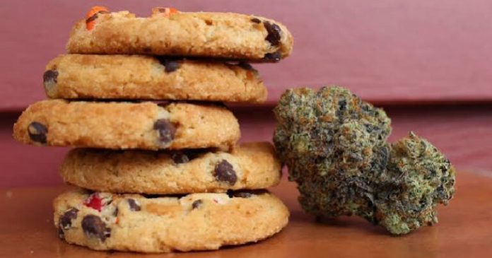 Y CANNABIS