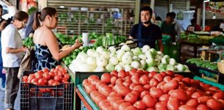 Profeco identifica aumento en precio de cebolla y limón por “varios indicadores”