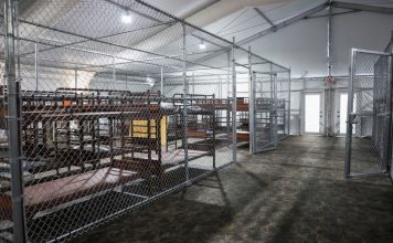 Constatan uso de jaulas y otros abusos a migrantes en Alligator Alcatraz