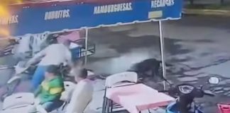 VIDEO. Sujeto lanza agua hirviendo a dos perritos en Tanhuato, Michoacán