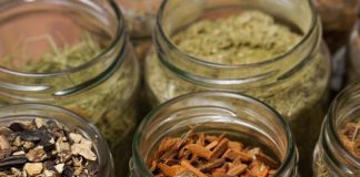 Plantas medicinales para la circulación: ¿cuáles son y son seguras?