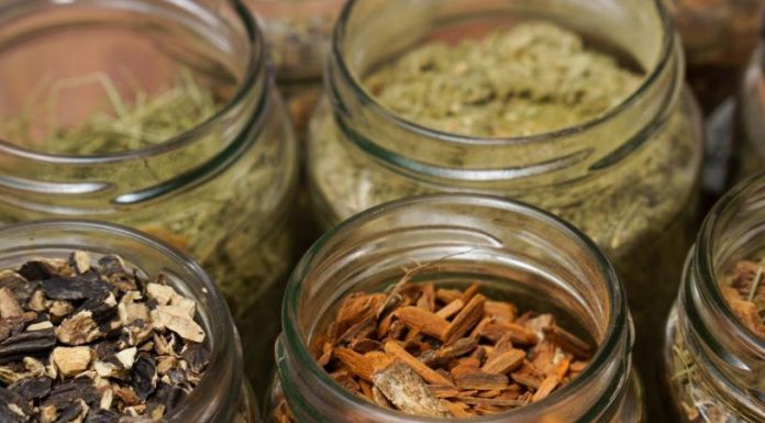 Plantas medicinales para la circulación: ¿cuáles son y son seguras?