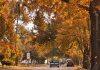 Otoño llega a Tamaulipas con más frentes fríos y posibles “Nortes”