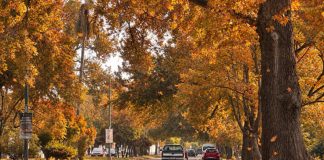 Otoño llega a Tamaulipas con más frentes fríos y posibles “Nortes”
