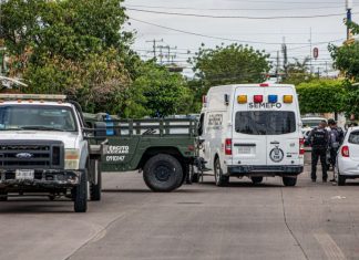 México registra 250 homicidios en la tercera semana de septiembre; Guanajuato encabeza cifras con 29 casos