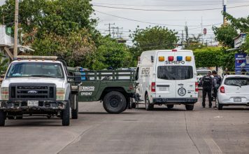 México registra 250 homicidios en la tercera semana de septiembre; Guanajuato encabeza cifras con 29 casos