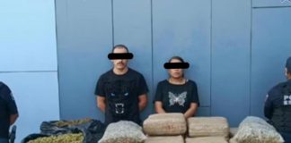 Aseguran 72 kilos de marihuana en Hidalgo; detienen a pareja con 103 dosis de cristal
