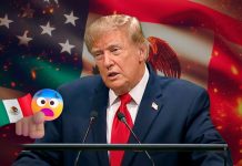 Trump llama a México el “epicentro” de la violencia de los cárteles ante la ONU, pero destaca la relación con Sheinbaum