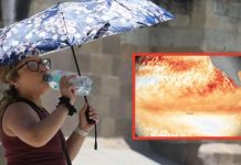 Expertos alertan que más de 450,000 personas podrían morir por el calor sofocante causado por el “super El Niño”