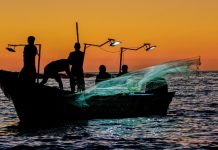 ¡Tremendo rescate! Policías salvan a pescador del fuerte oleaje provocado por Polo en Acapulco
