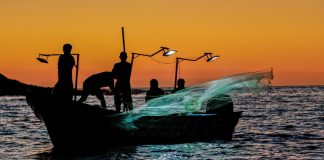 ¡Tremendo rescate! Policías salvan a pescador del fuerte oleaje provocado por Polo en Acapulco
