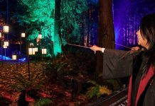 El Bosque Prohibido de Harry Potter estará muy cerca de CDMX
