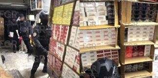 Aseguran 13 toneladas de tabaco apócrifo en la CDMX