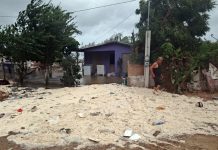 Huracán ‘Polo’ deja saldo blanco en Baja California Sur