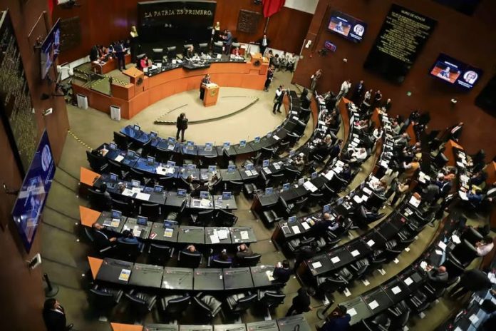 y senado