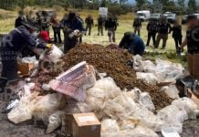 Incineran más de media tonelada de drogas en Edomex