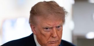 Trump publica teléfono de senador para presionarlo por ley sobre horario de verano; busca que vote a favor de dejarlo permanente