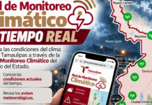 ¿Vas a salir? Así puedes revisar el clima de Tamaulipas en tiempo real