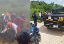 Más de una hora a pie para salvarlos: rescatan a pareja atacada por enjambre de abejas en Mérida, Yucatán